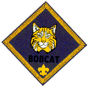 bobcat_color.gif